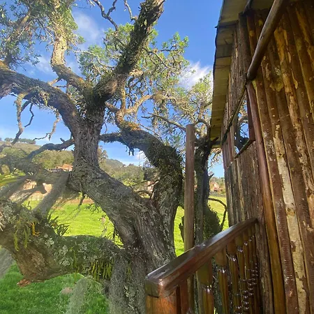 Casa Del Arbol Amadeus Guatavita Exterior photo