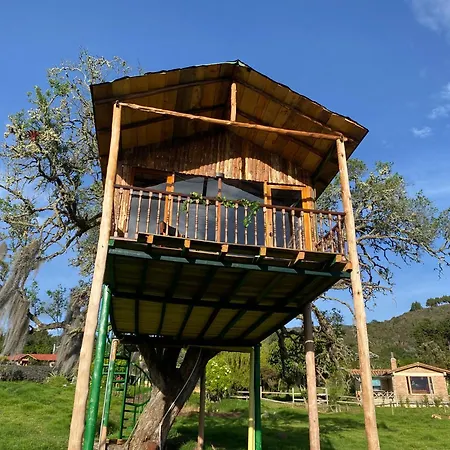 Casa Del Arbol Amadeus Guatavita Exterior photo
