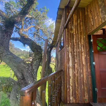 Casa Del Arbol Amadeus Guatavita Exterior photo