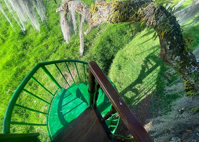Casa Del Arbol Amadeus Guatavita