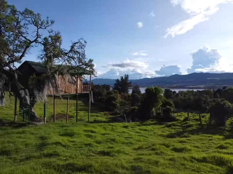 度假居 Casa Del Arbol Amadeus