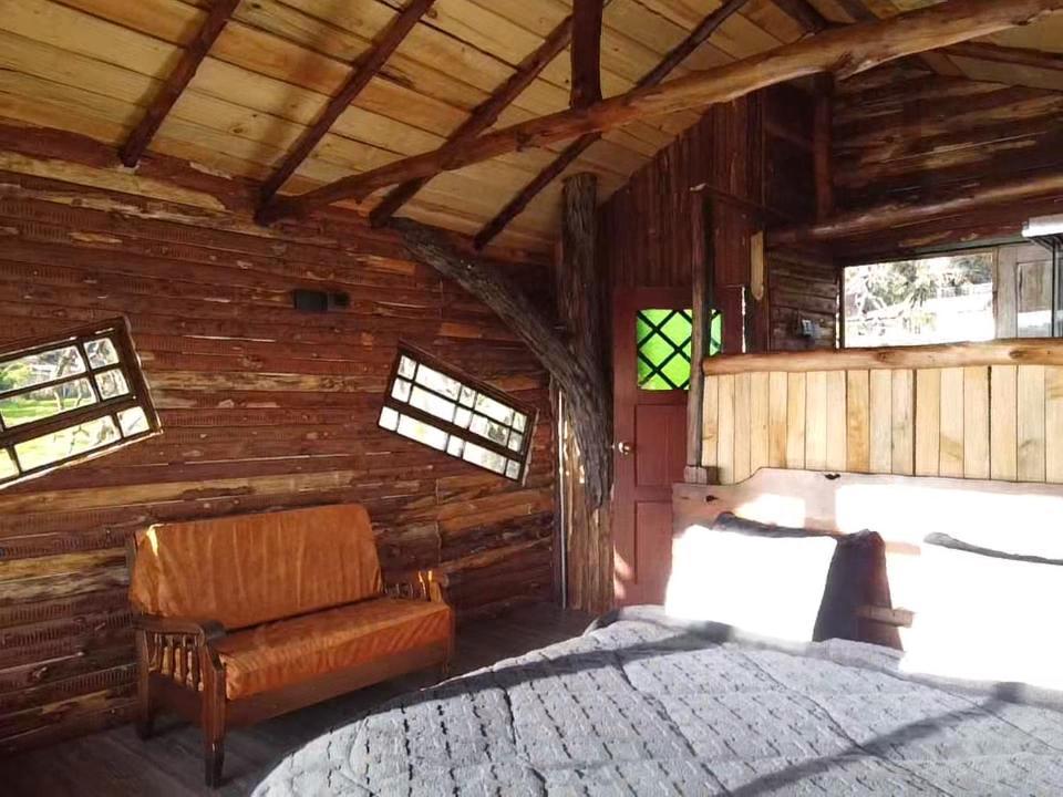 Casa Del Arbol Amadeus *