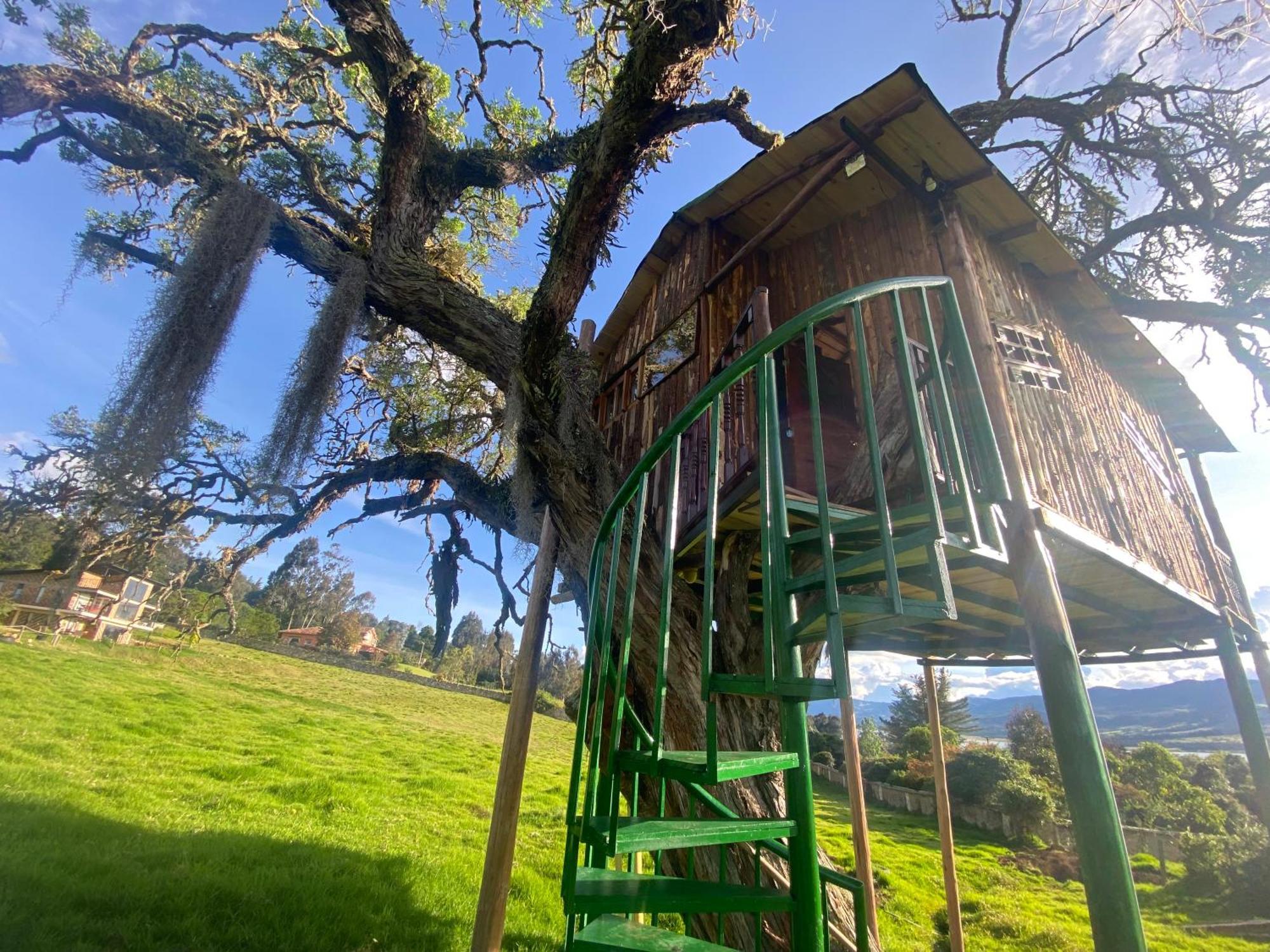 度假居 Casa Del Arbol Amadeus *