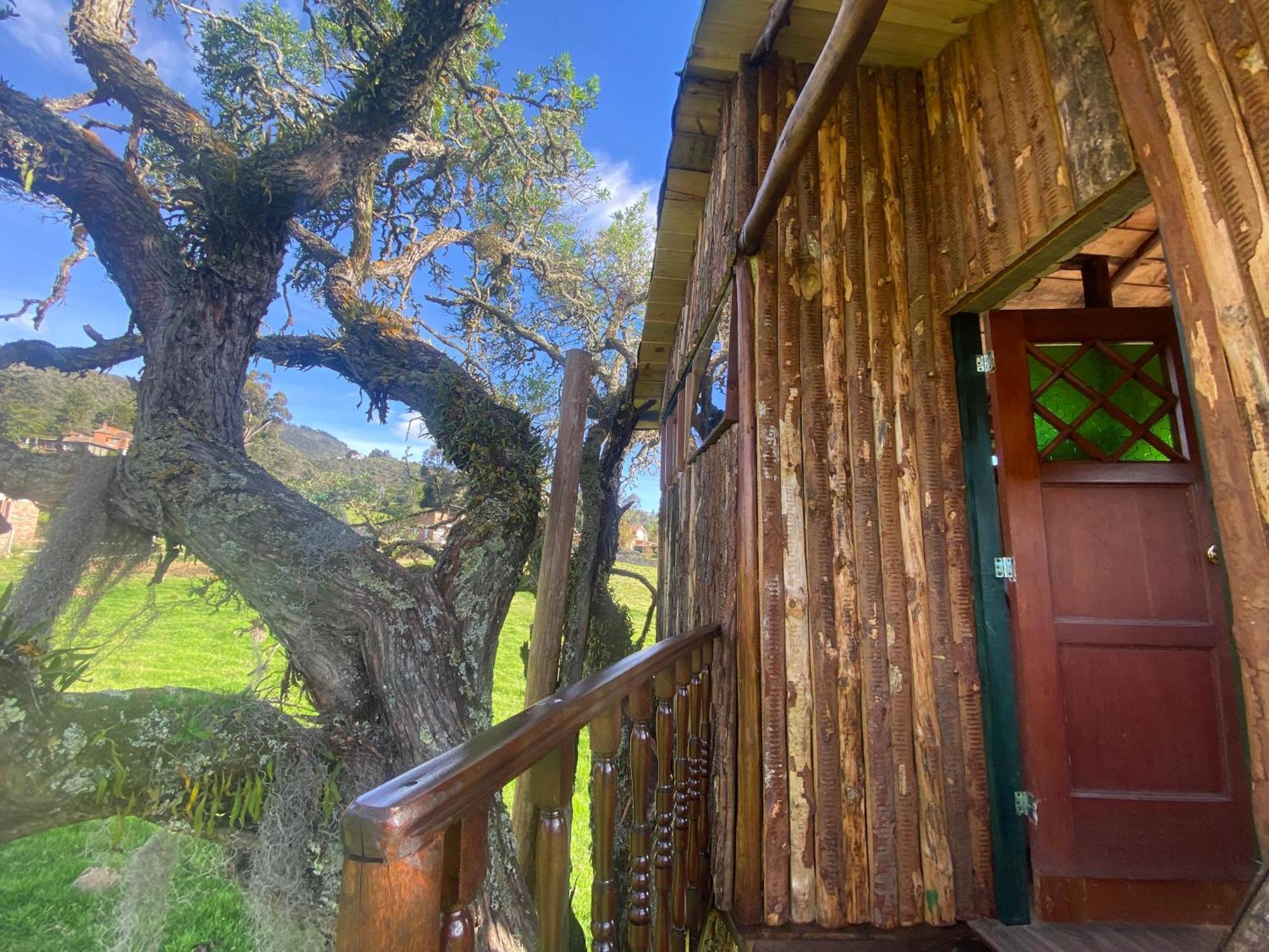 Casa Del Arbol Amadeus Guatavita